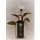 CARRERA 1965 - No.1 Donna Eau de Parfum (EdP) 125ml
