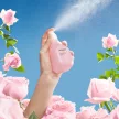 JURLIQUE ROSEWATER BALANCING MIST 100ML