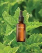 JURLIQUE HEEBAL RECOVERY FACE OIL 50ML