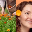 JURLIQUE CALENDULA SERUM 30ML