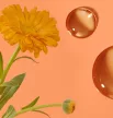 JURLIQUE CALENDULA CREAM 50ML