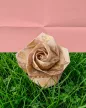 MEMO PARIS ODEON ROSEBUD Eau de Parfum (EdP) 30ml